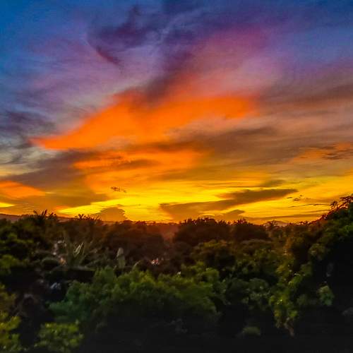 Photo #9128244