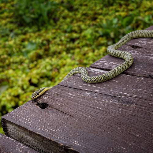 Photo #9128511