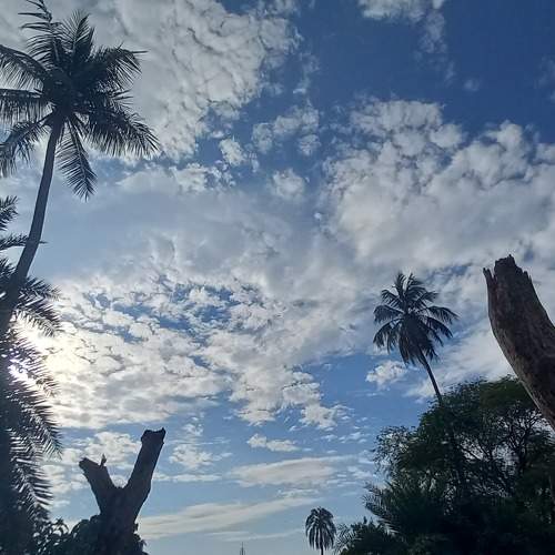 Sky Sketch