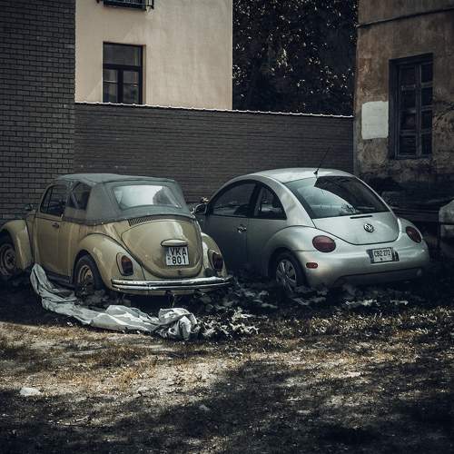 Photo #9128931