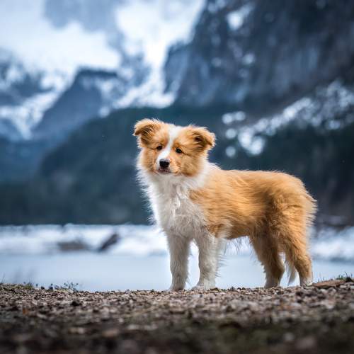 Photo #9129157