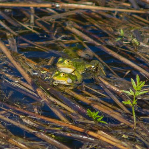 Photo #9129276