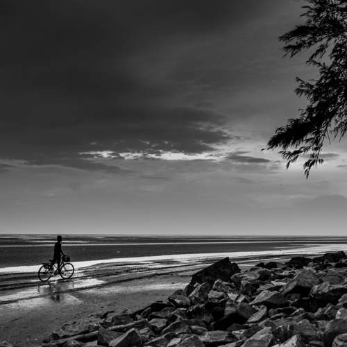 Dreams along a fading shoreline.