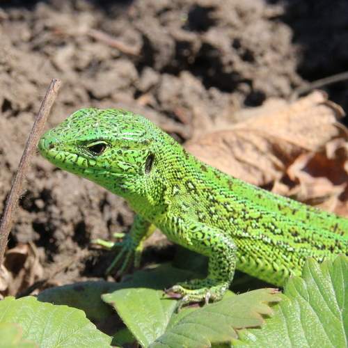 Photo #9129531