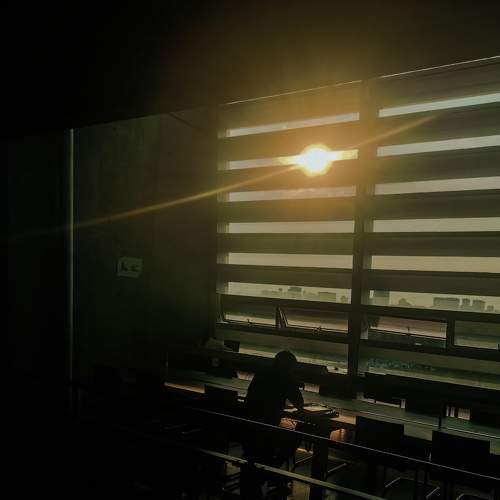 Photo #9129634