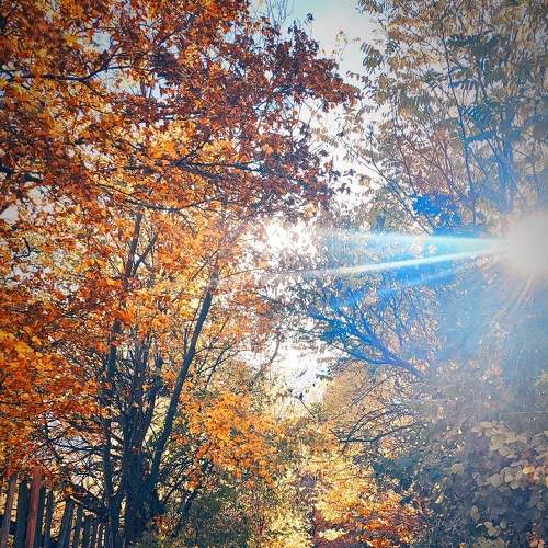 Photo #9129930