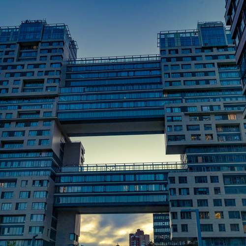 Photo #9130144