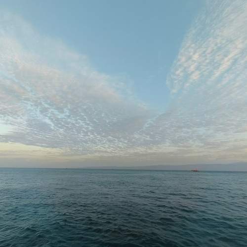 Photo #9130444