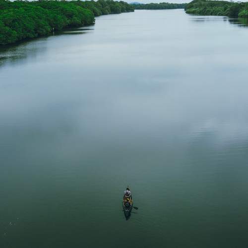 Photo #9130449