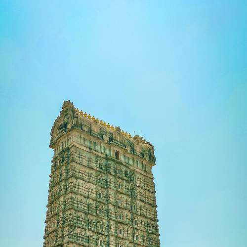 Photo #9130671