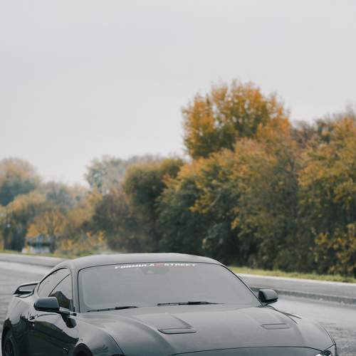 Photo #9130833