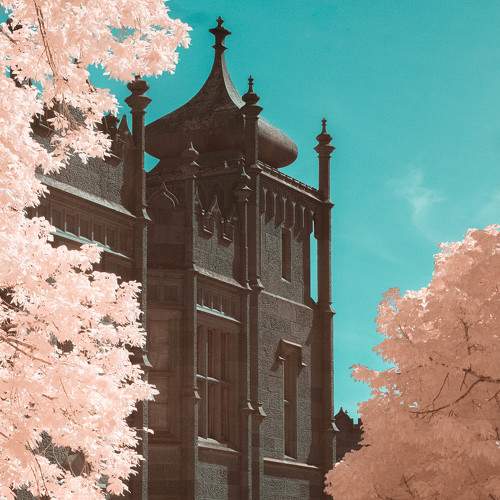 Photo #9131311