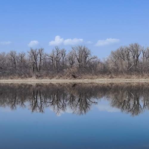 Photo #9131790