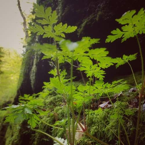 Photo #9131867