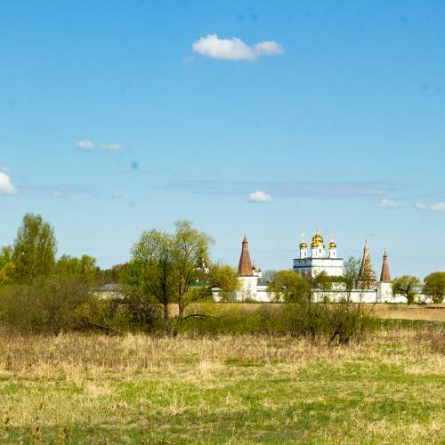 Photo #9132535
