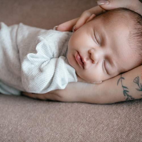 Photo #9132575