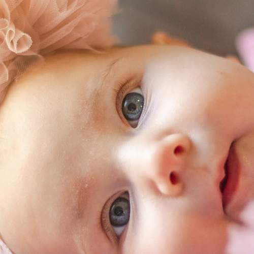 Photo #9132696