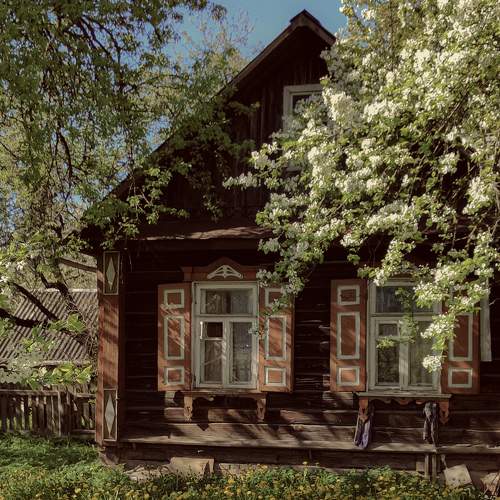 Photo #9132700