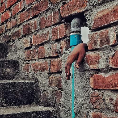 Photo #9132922
