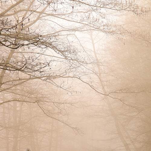 Photo #9133151