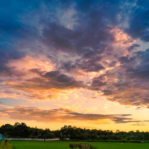 Photo #9133275