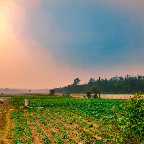 Photo #9133276