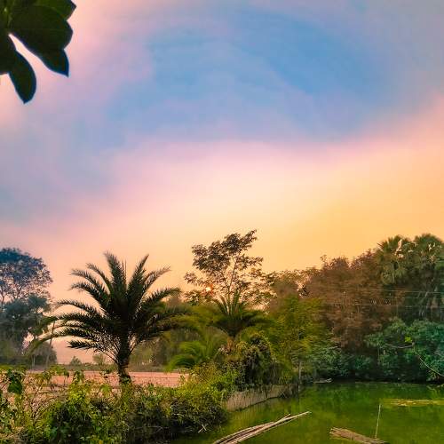 Photo #9133343