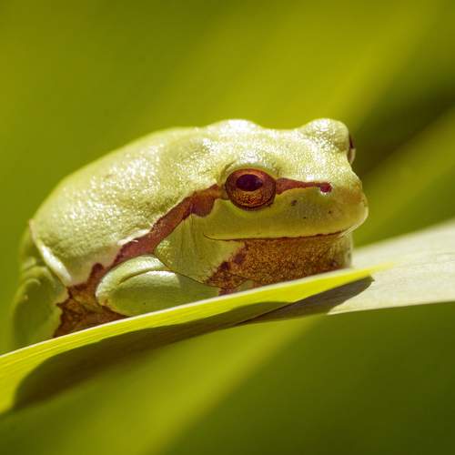 Photo #9133420