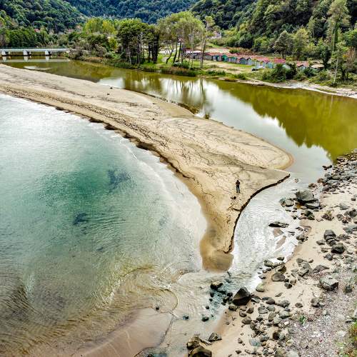 Photo #9133500