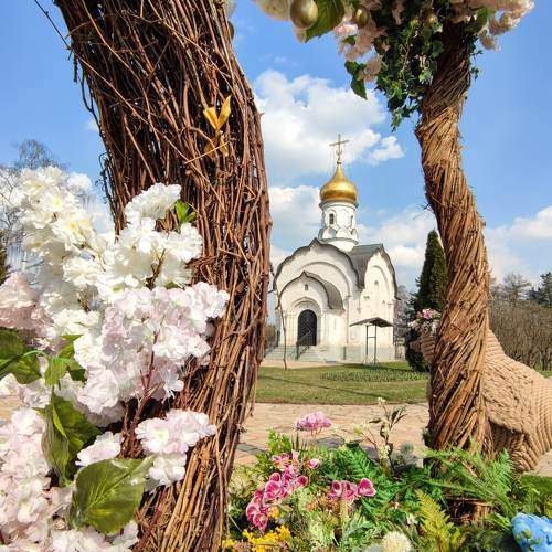 Photo #9133789