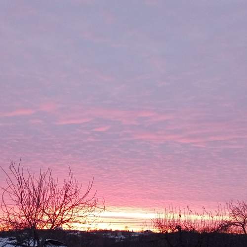Photo #9134002