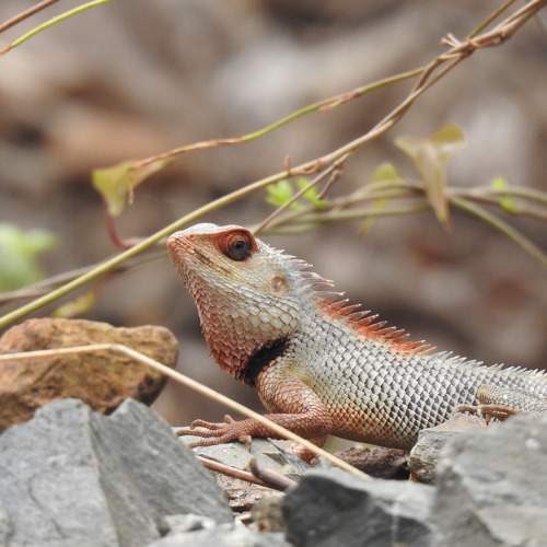 Photo #9134189