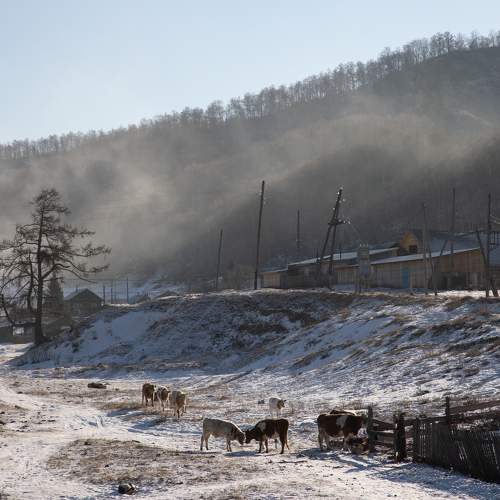 Photo #9134246