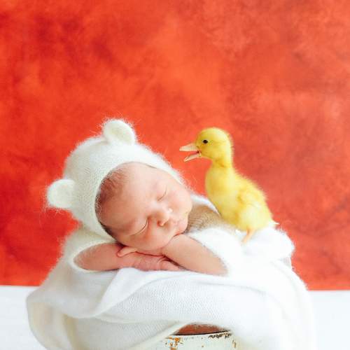 Фотография #9135412