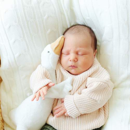 Фотография #9135414