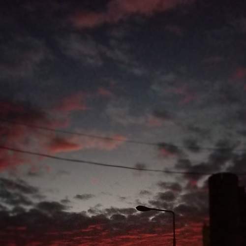 Photo #9135787
