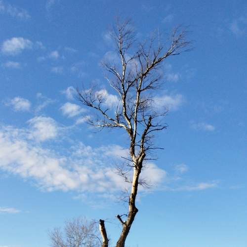 Photo #9135935
