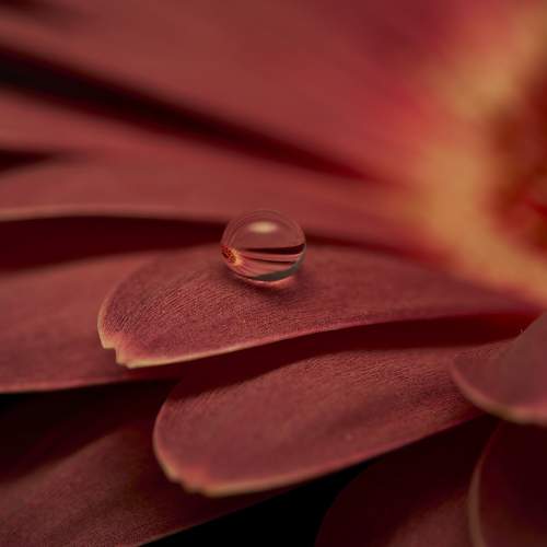 Photo #9136529
