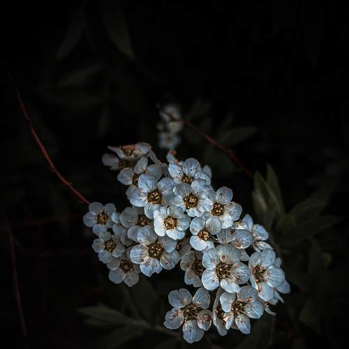Photo #9137641