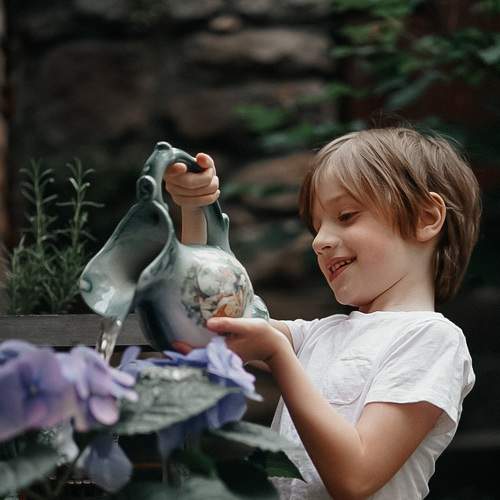 The little gardener