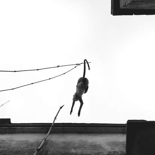 Hanging way