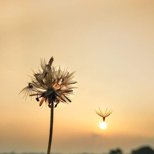 Photo #9138337
