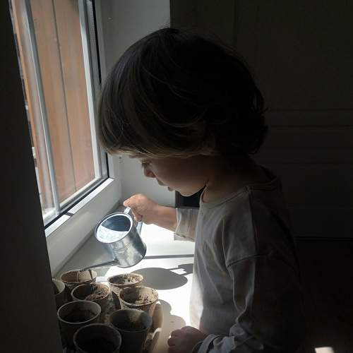 Photo #9138689