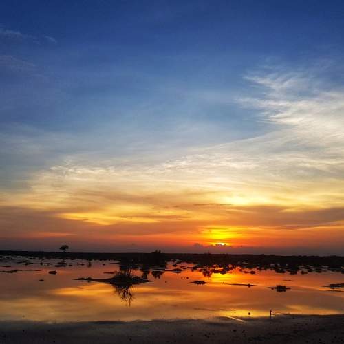 Photo #9139108