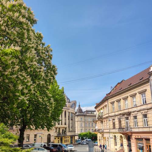 Photo #9139485