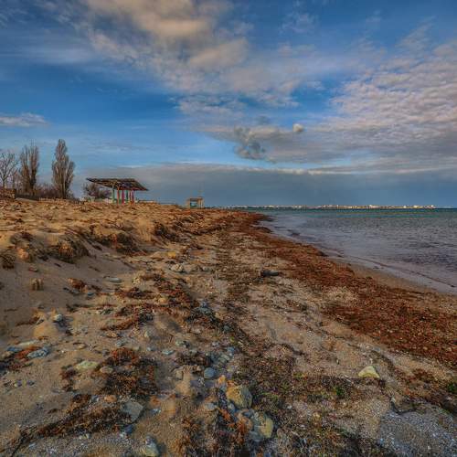 Photo #9139656