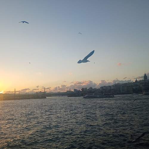 Photo #9139893