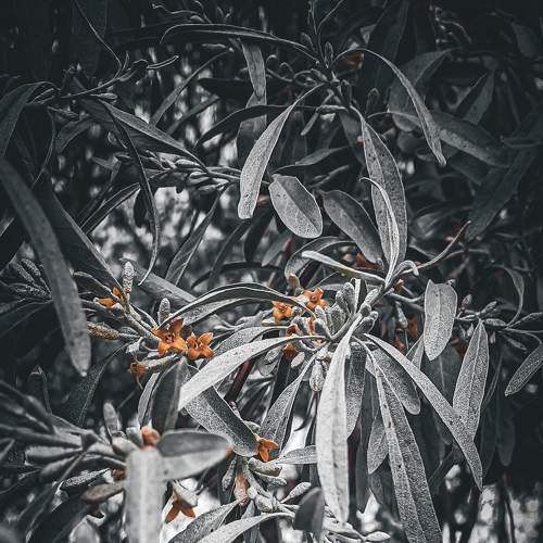 Photo #9140063