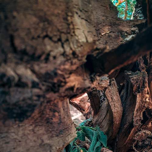 Photo #9140067