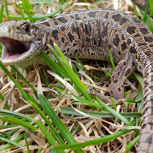 Photo #9140612